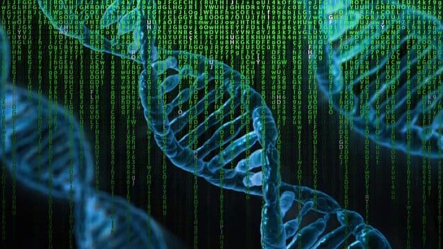 DNA Testing in Family Law